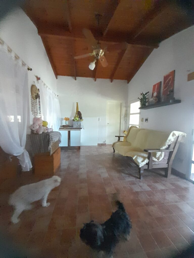 2b035247 669a 422d 956a 5ff567e001e1