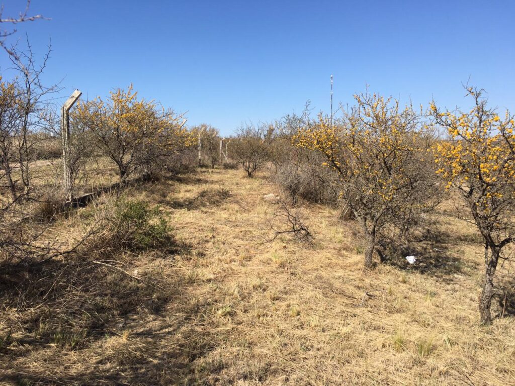 364514d8 a991 4b0a 8d3a 427f09e94669