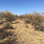 ref 087 LOTE de 4900 mts EN VENTA EN VILLA PARQUE SIQUIMAN U$S 30.000