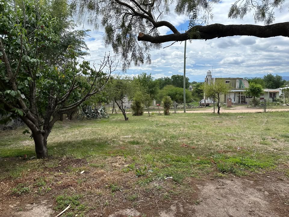 588035420 870947155469467 7826437358966962681 n