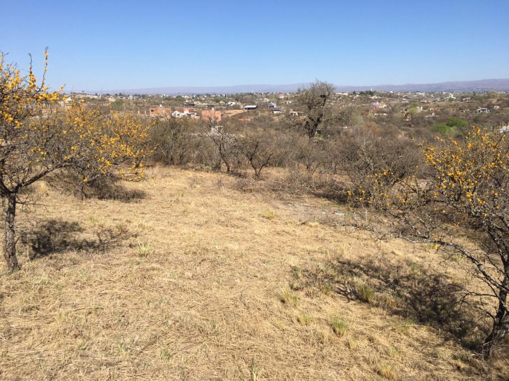 62d37f96 c9d7 4d23 b50d 7163fff67a2f