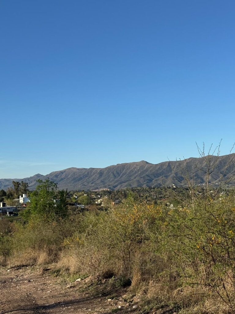 6afcd2d7 a425 4c76 a570 3c8e57e5e15a