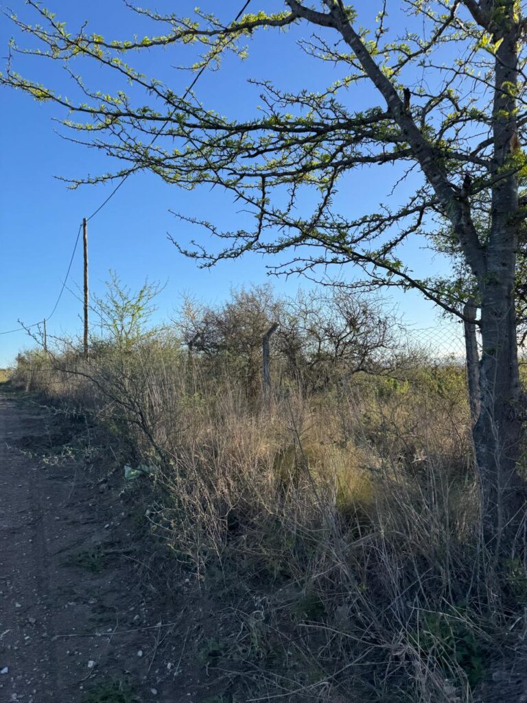 7020f773 b4ed 4a2b abd7 5ea6f585edef