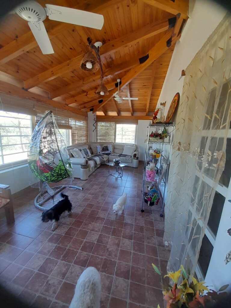 7ea5632e 54b7 460e 851d 2ac35340a8d5