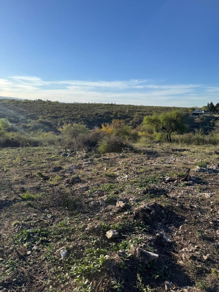 8043b89a c380 443f bf74 23729a79a08a