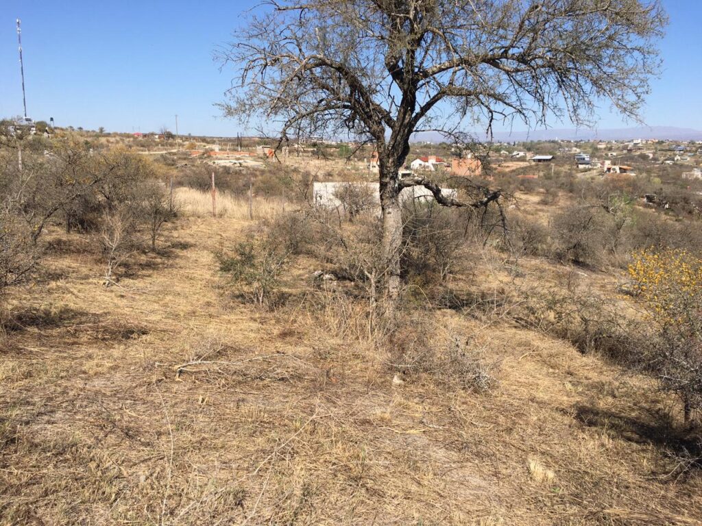 8526dbcd b2dc 4287 8ff3 b8eae5c75836