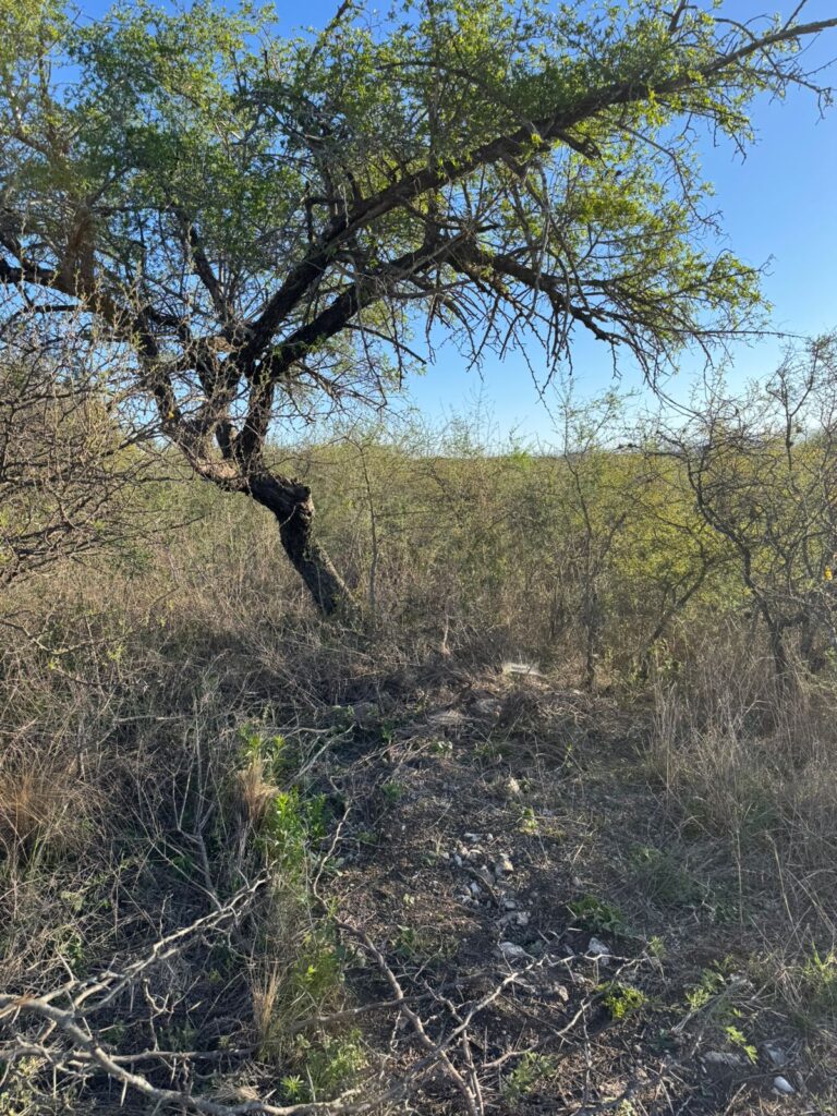 9309a0f5 797b 4765 86da 585c8efb12e4