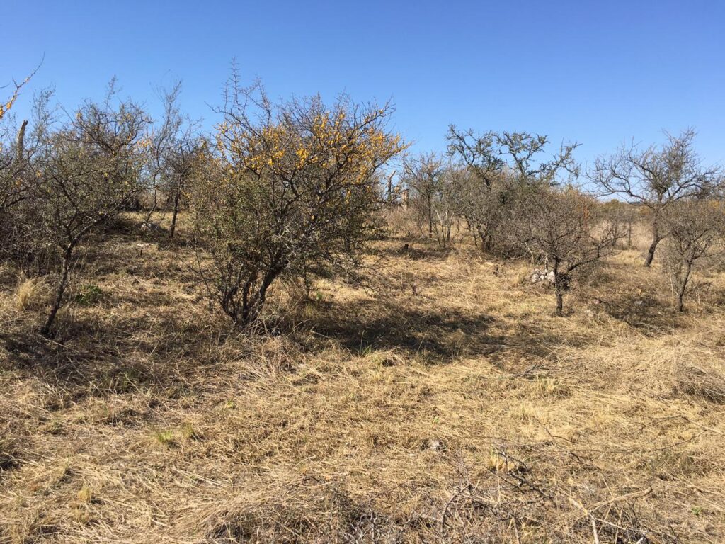 a58832ca 66ae 4a9f a79e adb5d7c8a5b3