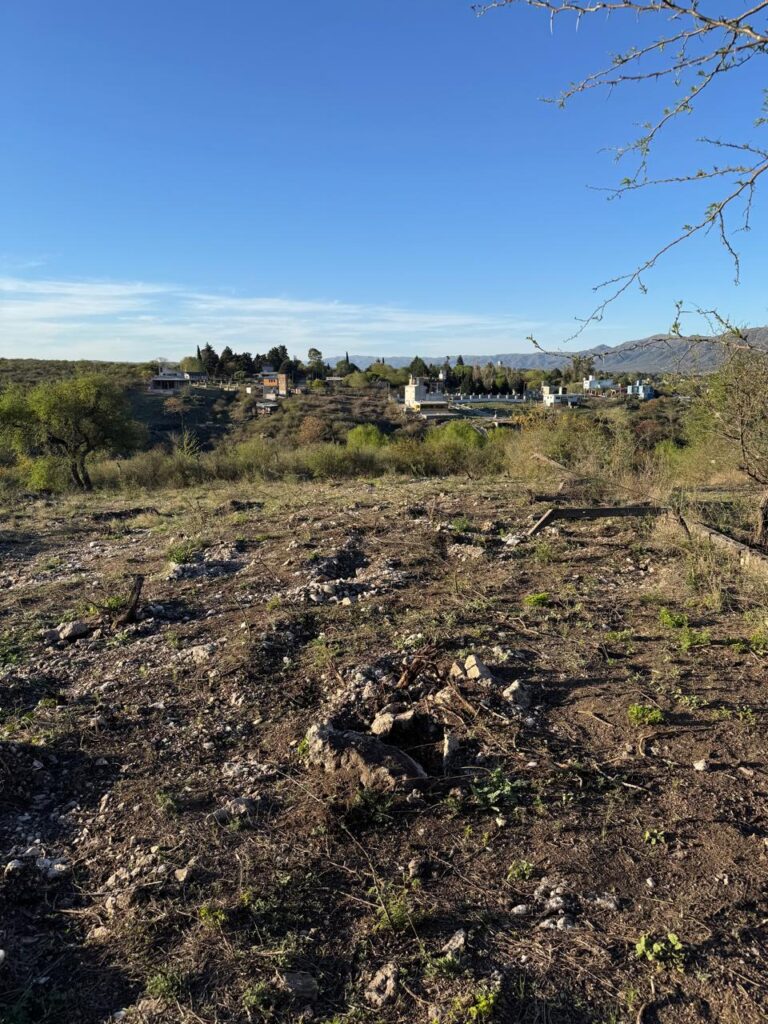 e2bf16b1 8fb8 44a3 80ca 76f69d228a0e