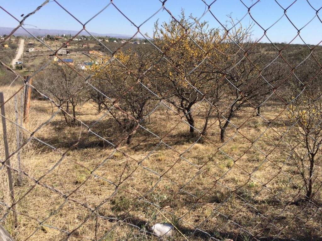 e33aef40 2548 4b3d 850d d3468cd70b06