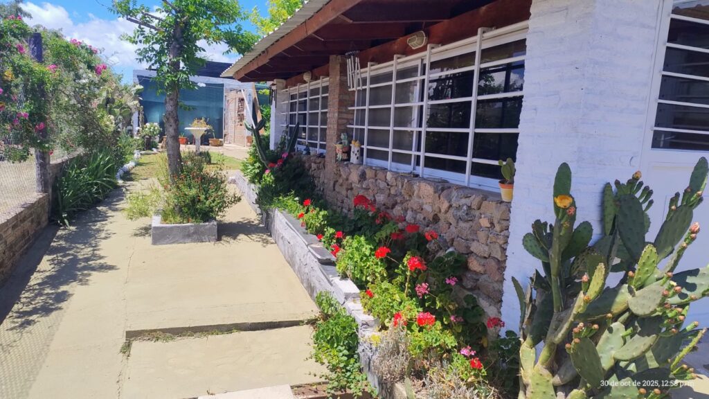 e946a93b 0877 4e18 a068 5610eea6263e