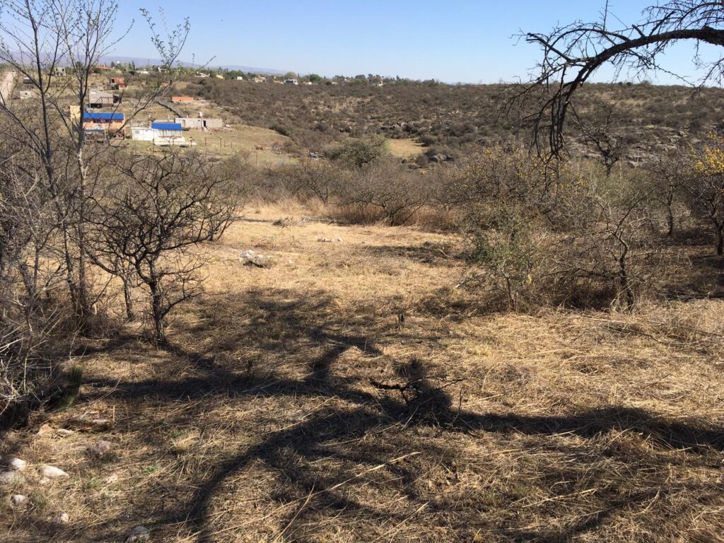 f8238452 0e10 40fc 96ac 46475d9f7ece