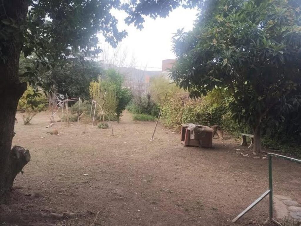 REF 095 CASA, DEPARTAMENTO Y DOS SALONES SOBRE COLECTORA RUTA 38 - BIALET MASSÉ U$S 115.000 extra large u 69306704128de