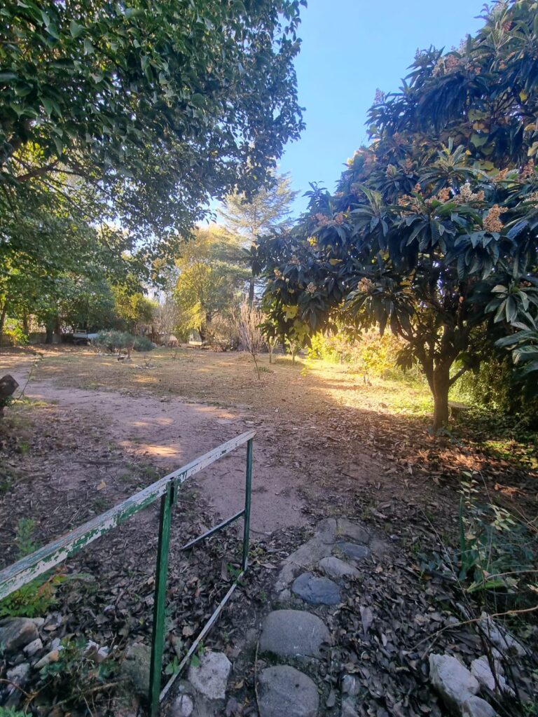944cd2a4 adfd 45a8 ae2e bc3333d3f69e