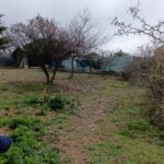 REF 113 CASA EN MIRADOR DEL LAGO - BIALET MASSÉ U$S 40.000 REF 113 CASA EN MIRADOR DEL LAGO - BIALET MASSÉ U$S 40.000
