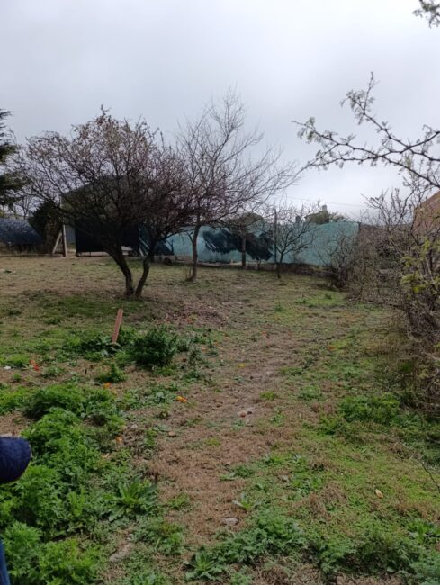 REF 113 CASA EN MIRADOR DEL LAGO - BIALET MASSÉ U$S 40.000