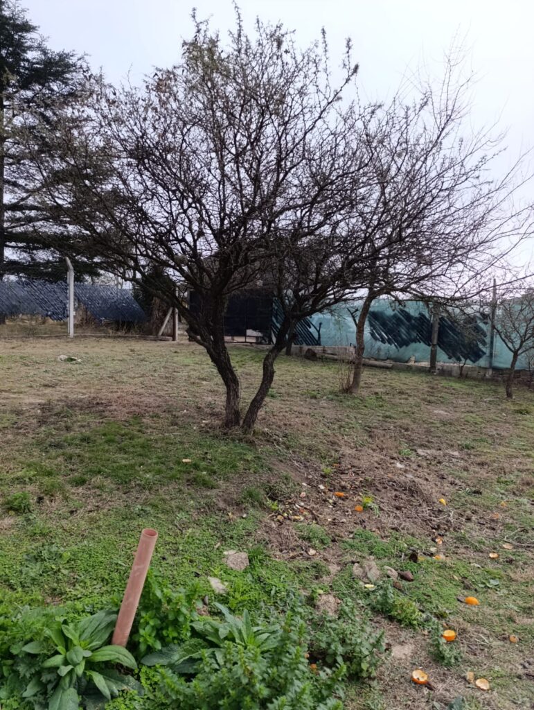 REF 113 CASA EN MIRADOR DEL LAGO - BIALET MASSÉ U$S 40.000 fa94d21c 645b 42da 93d9 f24e6da7f040